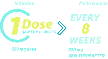 Rheum Dosing