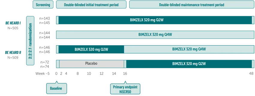 BKZ_HS_Study-Design-BEHEARD